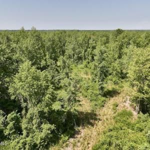 Photo #18 of Guinea Mill, Ernul, NC 34.9 acres