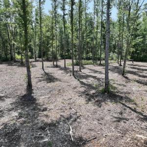Photo #5 of Guinea Mill, Ernul, NC 34.9 acres