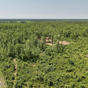 Photo #23 of Guinea Mill, Ernul, NC 34.9 acres