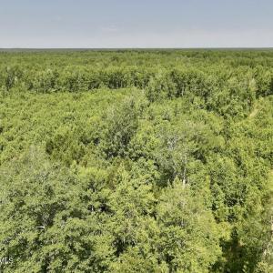 Photo #13 of Guinea Mill, Ernul, NC 34.9 acres