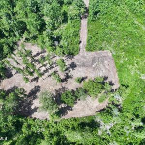 Photo #22 of Guinea Mill, Ernul, NC 34.9 acres