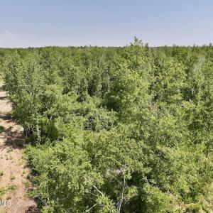 Photo #10 of Guinea Mill, Ernul, NC 34.9 acres