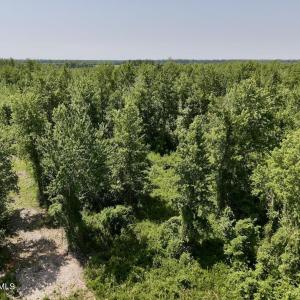 Photo #19 of Guinea Mill, Ernul, NC 34.9 acres