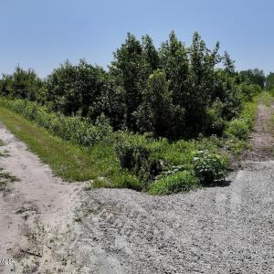 Photo #30 of Guinea Mill, Ernul, NC 34.9 acres