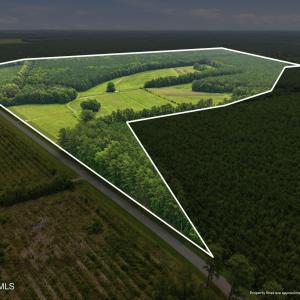 Photo #3 of Gaskins, Grimesland, NC 157.0 acres