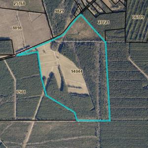 Photo #1 of Gaskins, Grimesland, NC 157.0 acres