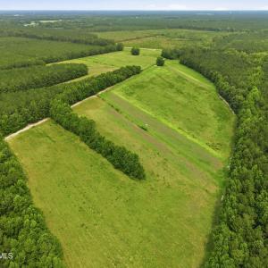 Photo #12 of Gaskins, Grimesland, NC 157.0 acres