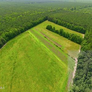 Photo #8 of Gaskins, Grimesland, NC 157.0 acres