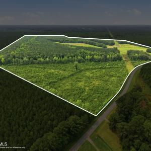 Photo #2 of Gaskins, Grimesland, NC 157.0 acres