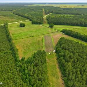 Photo #13 of Gaskins, Grimesland, NC 157.0 acres