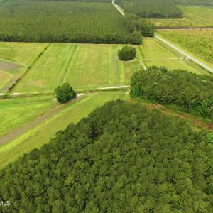 Photo #11 of Gaskins, Grimesland, NC 157.0 acres