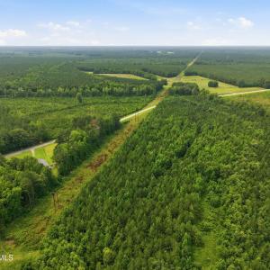 Photo #14 of Gaskins, Grimesland, NC 157.0 acres