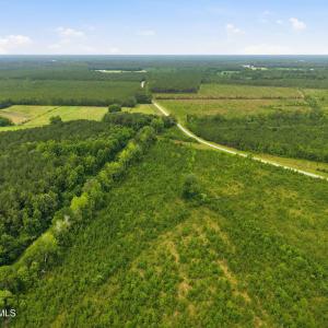 Photo #17 of Gaskins, Grimesland, NC 157.0 acres