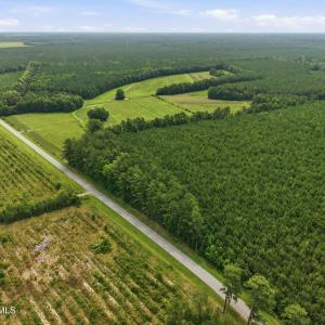 Photo #4 of Gaskins, Grimesland, NC 157.0 acres