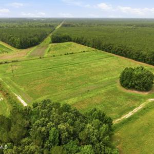 Photo #9 of Gaskins, Grimesland, NC 157.0 acres