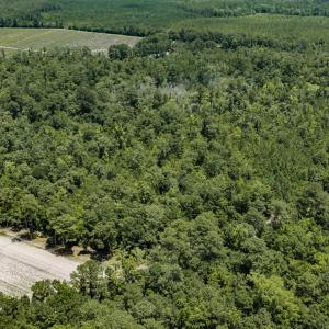 Photo #3 of Clarks Landing, Rocky Point, NC 52.0 acres