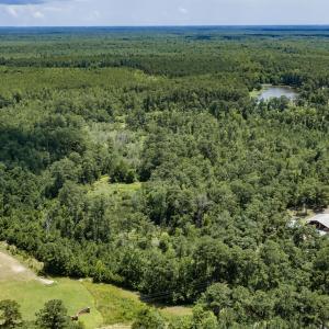 Photo #18 of Clarks Landing, Rocky Point, NC 52.0 acres
