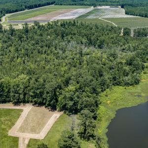 Photo #5 of Clarks Landing, Rocky Point, NC 52.0 acres