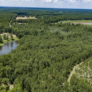 Photo #8 of Clarks Landing, Rocky Point, NC 52.0 acres