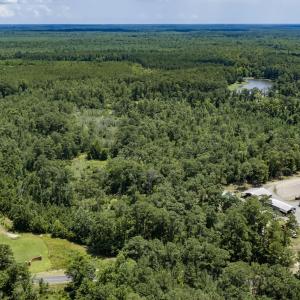 Photo #1 of Clarks Landing, Rocky Point, NC 52.0 acres