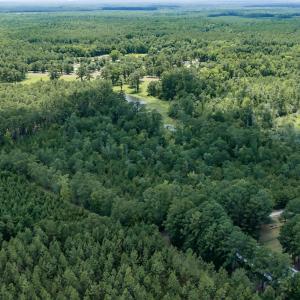Photo #11 of Clarks Landing, Rocky Point, NC 52.0 acres