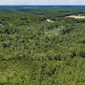 Photo #10 of Clarks Landing, Rocky Point, NC 52.0 acres