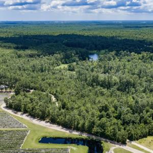 Photo #13 of Clarks Landing, Rocky Point, NC 52.0 acres
