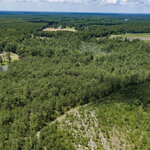 Photo #9 of Clarks Landing, Rocky Point, NC 52.0 acres