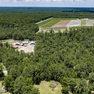 Photo #4 of Clarks Landing, Rocky Point, NC 52.0 acres
