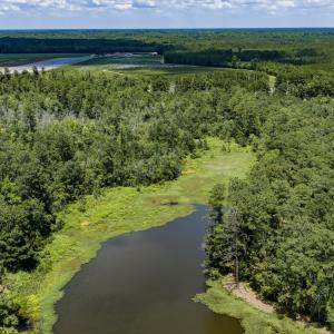 Photo #22 of Clarks Landing, Rocky Point, NC 52.0 acres