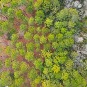 Photo #8 of 616 Del-Sol, Bolivia, NC 0.3 acres