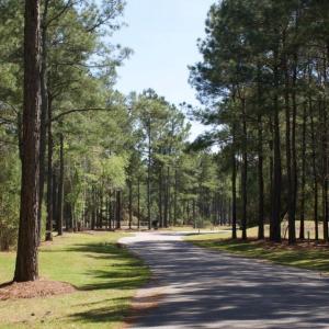 Photo #11 of 616 Del-Sol, Bolivia, NC 0.3 acres