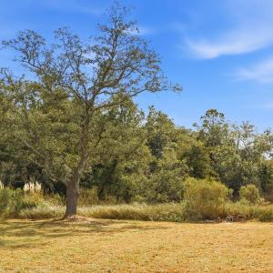 Photo #6 of 1408 Marsh Cove, Wilmington, NC 0.7 acres