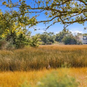 Photo #4 of 1408 Marsh Cove, Wilmington, NC 0.7 acres