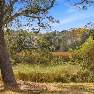 Photo #3 of 1408 Marsh Cove, Wilmington, NC 0.7 acres