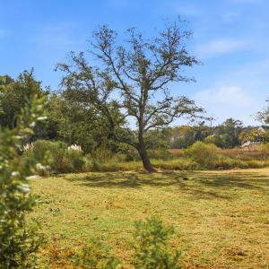 Photo #1 of 1408 Marsh Cove, Wilmington, NC 0.7 acres