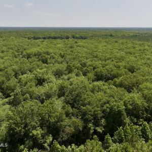 Photo #6 of 28 Guinea Mill, Ernul, NC 34.3 acres