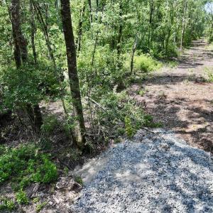 Photo #20 of 28 Guinea Mill, Ernul, NC 34.3 acres