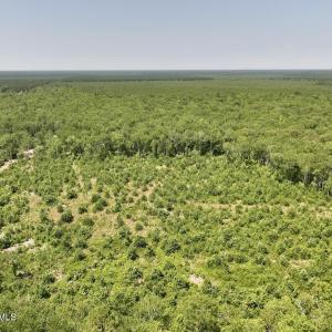 Photo #2 of 28 Guinea Mill, Ernul, NC 34.3 acres