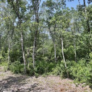 Photo #8 of 28 Guinea Mill, Ernul, NC 34.3 acres