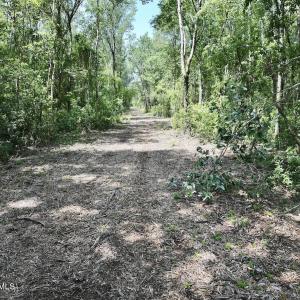 Photo #1 of 28 Guinea Mill, Ernul, NC 34.3 acres