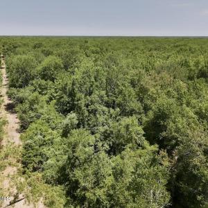 Photo #10 of 28 Guinea Mill, Ernul, NC 34.3 acres