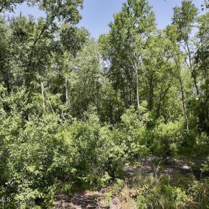 Photo #9 of 28 Guinea Mill, Ernul, NC 34.3 acres