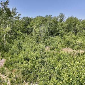 Photo #7 of 28 Guinea Mill, Ernul, NC 34.3 acres
