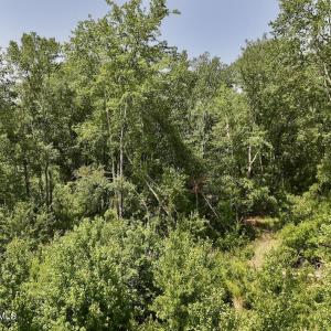 Photo #14 of 28 Guinea Mill, Ernul, NC 34.3 acres