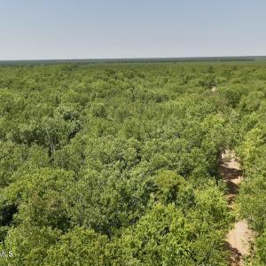 Photo #17 of 28 Guinea Mill, Ernul, NC 34.3 acres