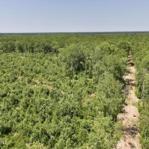 Photo #16 of 28 Guinea Mill, Ernul, NC 34.3 acres