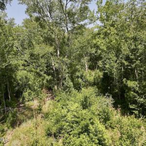 Photo #15 of 28 Guinea Mill, Ernul, NC 34.3 acres