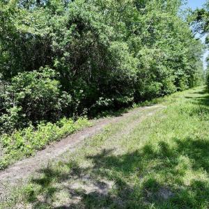 Photo #11 of 28 Guinea Mill, Ernul, NC 34.3 acres