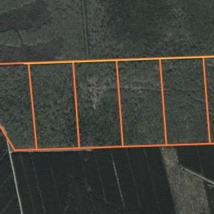 Photo #21 of 28 Guinea Mill, Ernul, NC 34.3 acres